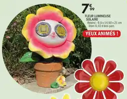 La Foir'Fouille Fleur lumineuse solaire offre
