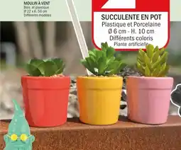 La Foir'Fouille Succulente en pot offre