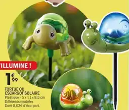 La Foir'Fouille Tortue ou escargot solaire offre