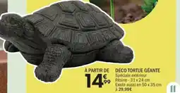 La Foir'Fouille Déco tortue géante offre