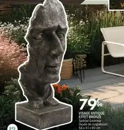 La Foir'Fouille Visage antique effet bronze offre