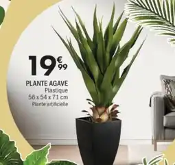 La Foir'Fouille Plante agave offre