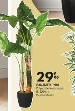 La Foir'Fouille Bananier cyro offre