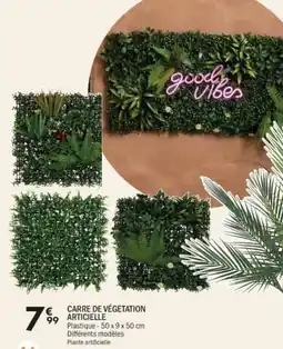 La Foir'Fouille Carre de végetation articielle offre