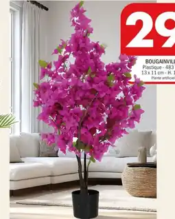La Foir'Fouille Bougainvillier offre