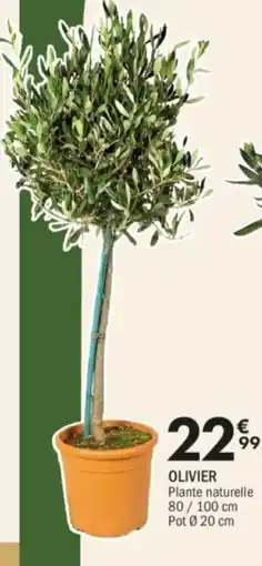 La Foir'Fouille Olivier offre