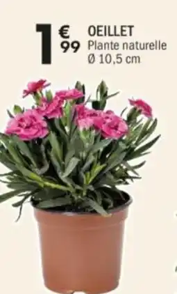 La Foir'Fouille Oeillet offre