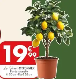 La Foir'Fouille Citronnier offre