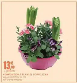 Intermarché COMPOSITION 5 PLANTES COUPE 23 CM offre
