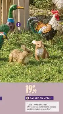 Intermarché CANARD EN METAL offre