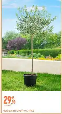 Intermarché OLIVIER TIGE POT 10 LITRES offre