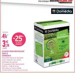 Intermarché GAZON REGARNISSAGE 500 G DOMEDIA offre