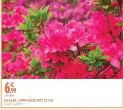 Intermarché AZALÉE JAPONAISE POT 15 CM offre