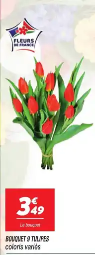 Netto Bouquet 9 tulipes offre