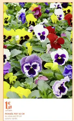 Intermarché Hyper Pensée pot offre