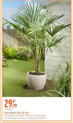 Intermarché Hyper Palmiers pot offre