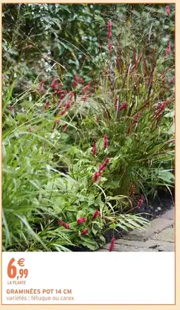 Intermarché Hyper Graminées pot offre