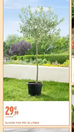 Intermarché Hyper Olivier tige pot 10 litres offre