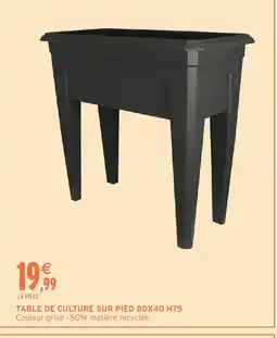 Intermarché Hyper Table de culture sur pied offre