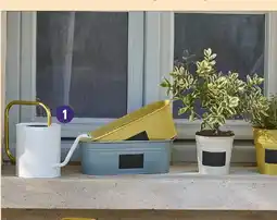 Intermarché Hyper Arrosoir metal offre