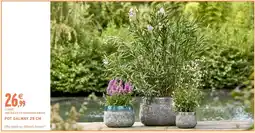 Intermarché Hyper Pot galway offre