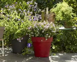 Intermarché Hyper Pot vaso like r anthracite offre