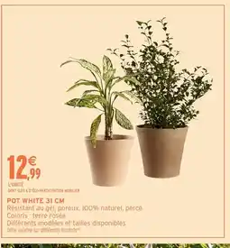Intermarché Hyper Pot white offre