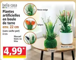 Norma Bella casa plantes artificielles en boule de terre offre