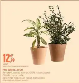 Intermarché Express Pot white 31 cm offre