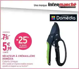 Intermarché Express Domédia - secateur a cremaillere offre