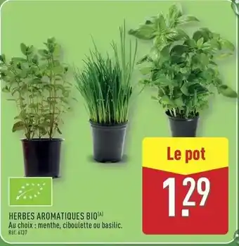 ALDI Herbes aromatiques bio offre