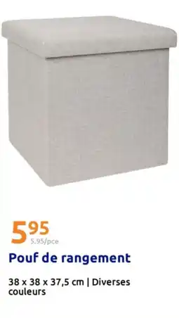 Action Pouf de rangement offre