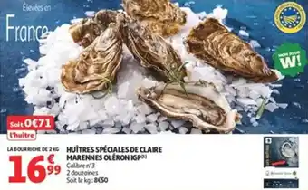 Huîtres spéciales de claire marennes oleron igp
