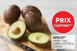 U Express Avocat offre