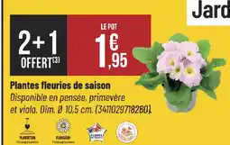 Bricorama Plantes fleuries de saison offre