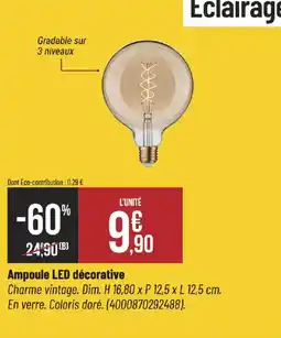 Bricorama Ampoule led décorative offre