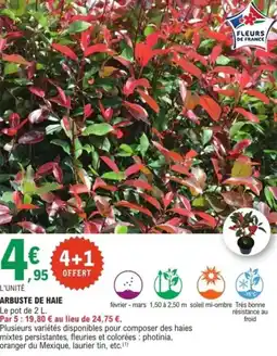 E.Leclerc Jardi Arbuste de haie offre
