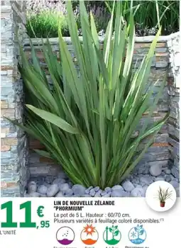 E.Leclerc Jardi Lin de nouvelle zélande phormium offre