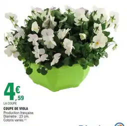 E.Leclerc Jardi Coupe de viola offre