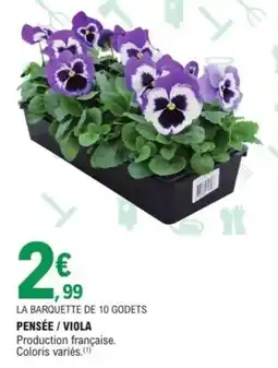 E.Leclerc Jardi Pensée viola offre