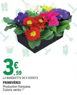 E.Leclerc Jardi Primevères offre