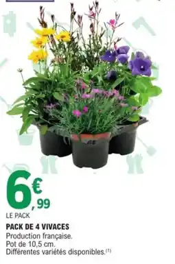 E.Leclerc Jardi Pack de 4 vivaces offre