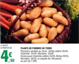 E.Leclerc Jardi Plants de pommes de terre offre