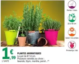 E.Leclerc Jardi Plantes aromatiques offre