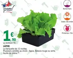 E.Leclerc Jardi Laitue offre
