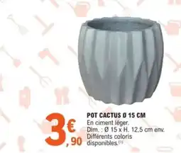 E.Leclerc Jardi Pot cactus offre