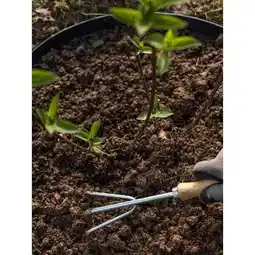 Carrefour Market Carrefour terreau universel uab offre