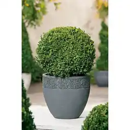 Carrefour Market Buis boule offre