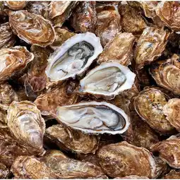 Carrefour Huitres creuses filiere qualite carrefour offre