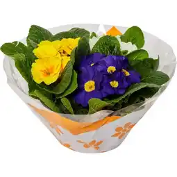 Carrefour Composition extérieure offre